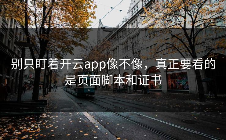 别只盯着开云app像不像，真正要看的是页面脚本和证书